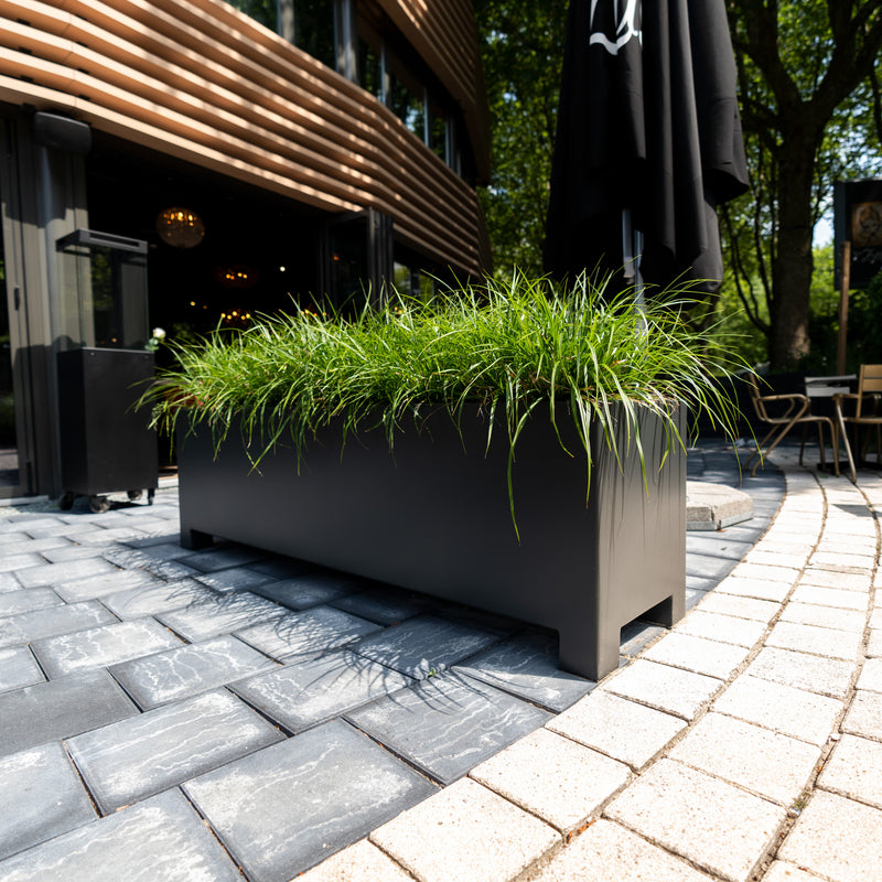 CARREZ aluminium plantenbak 120x40x80 cm met poten