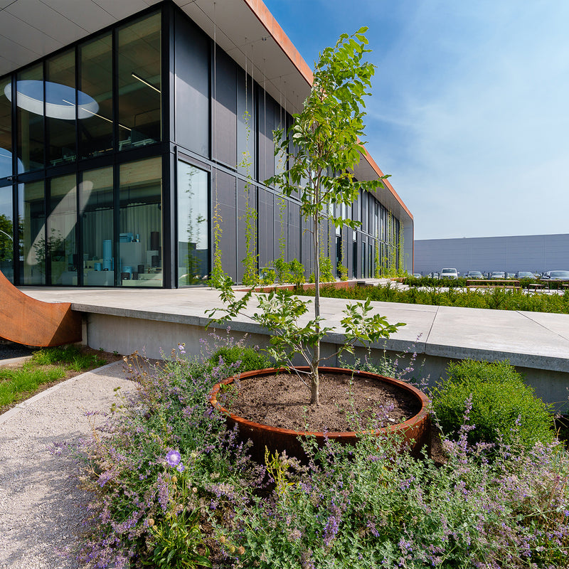 Cortenstahl Pflanzkübel CIRCUM ohne Boden | ø 200 x 60 cm