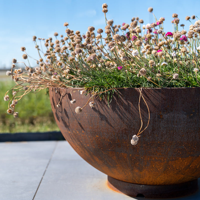 BOCCA ronde cortenstaal plantenbak 100x51 cm