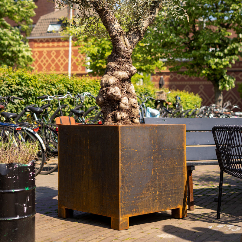 CARREZ rechthoekige cortenstaal plantenbak 120x40x80 met poten