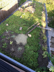 Biodiversiteitspakket na aanleg