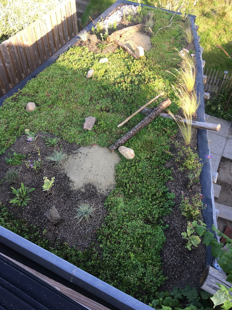 Biodiversiteitspakket na aanleg