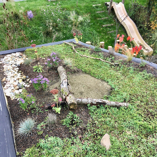 Biodiversiteitspakket na aanleg